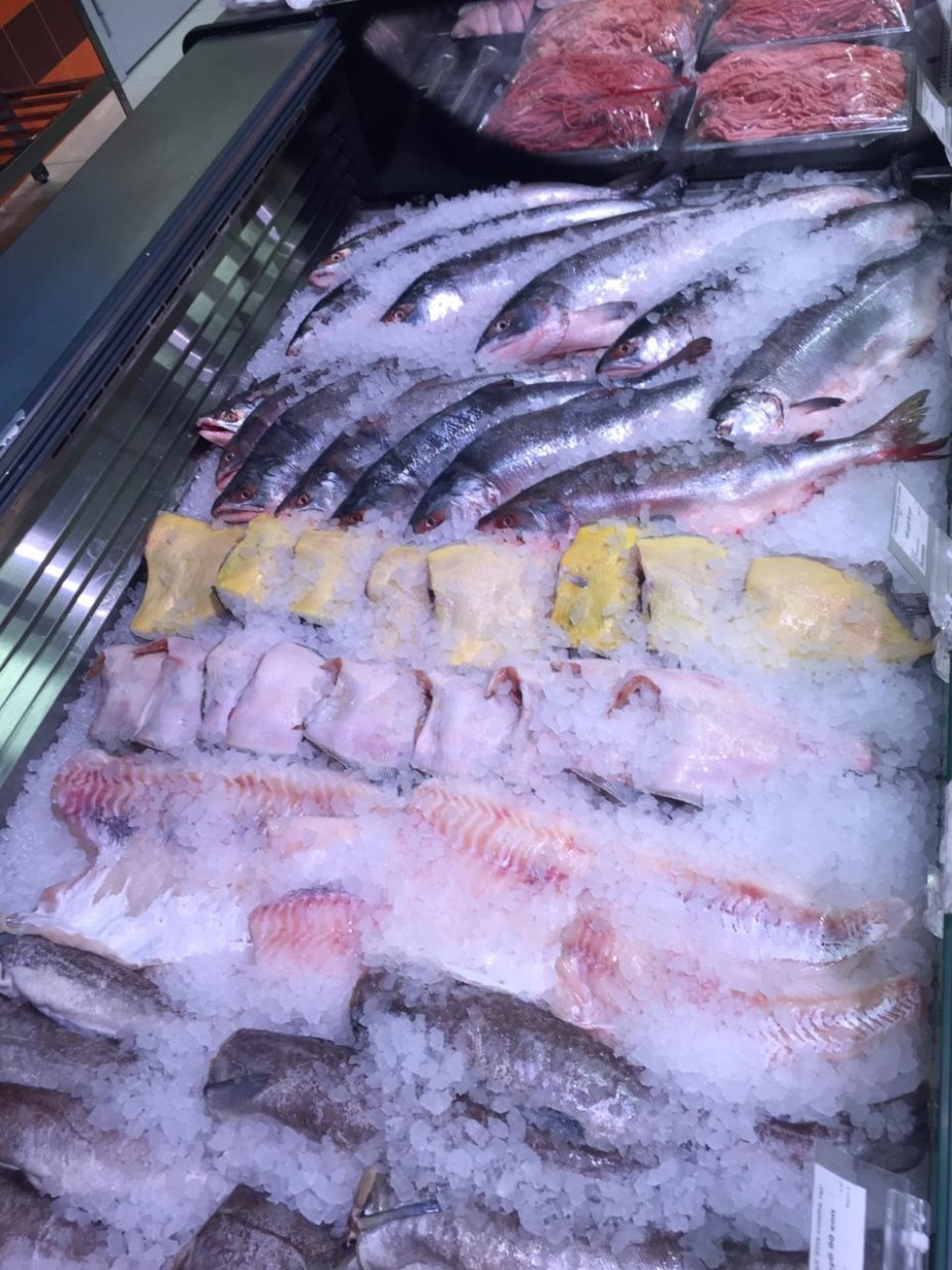 Свежий лосось  уже на прилавках супермаркетов «Шамса»