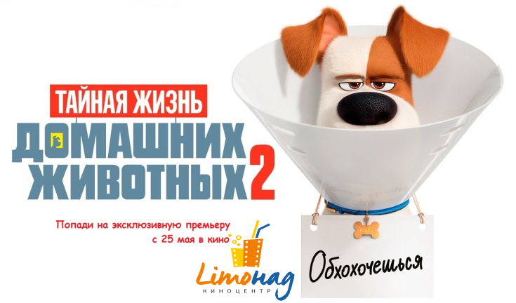 Акция к премьере мультфильма «Тайная жизнь домашних животных 2»