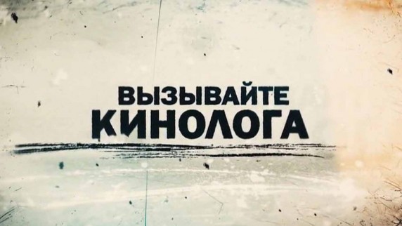 День всех влюбленных в киноцентре Лимонад